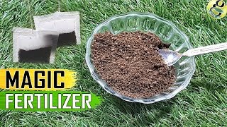 TEA WASTE FERTILIZER: Used Tea Bags Coffee Grounds for Plants | Organic Best Fertilizer for Rose