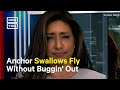 News presenter swallows fly on air, goes viral