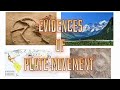 Continental Drift Theory and Plate Movements Uncovered