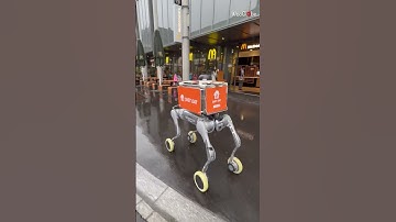 Food Delivery Robot: A Glimpse into the Future of Dining || WooGlobe