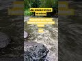Sedekah tidak harus dengan uang, bantu like & subscribe juga salah satu bentuk sedekah #shorts