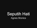 Agnes Monica - Seputih Hati