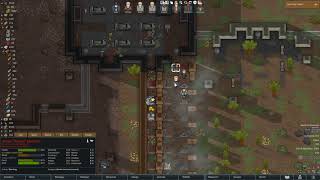 [Rimworld] Spike and IED trap successful