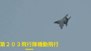 ＃航空自衛隊千歳基地＃第２０３飛行隊機動飛行＃千歳のまちの航空祭
