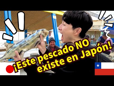 JAPONÉS se impacta con PESCADOS chilenos en EL QUISCO