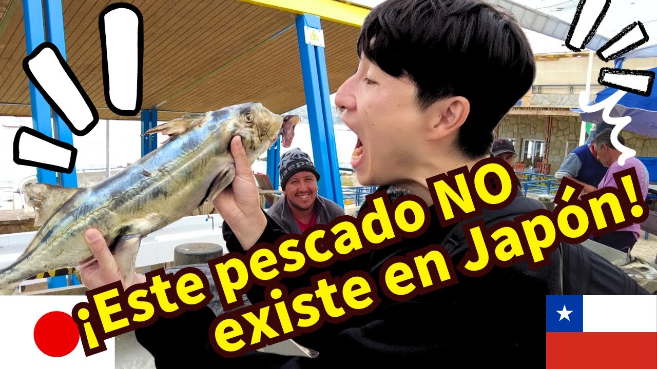 JAPONÉS se impacta con PESCADOS chilenos en EL QUISCO