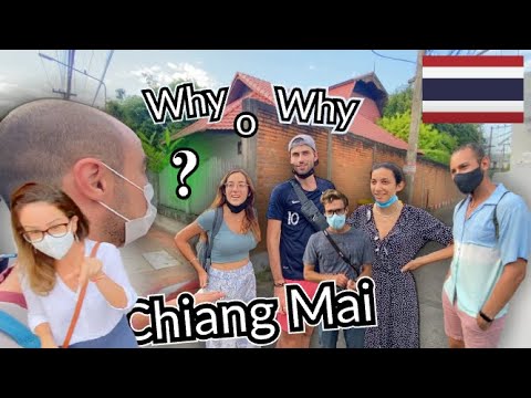 Why Chiang Mai❓What drives people to this northern city in Thailand