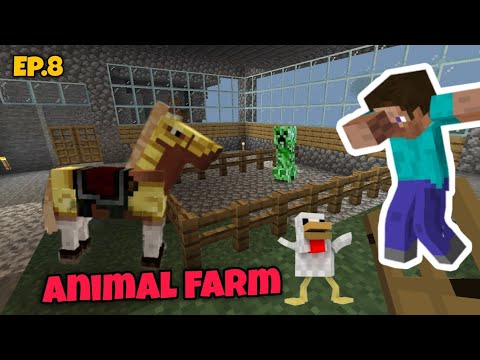 I Made an Animal Farm in Minecraft 🔥 - YouTube