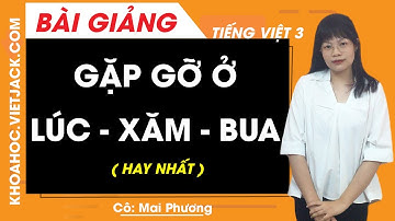 Tập đọc Gặp gỡ ở Lúc-xăm-bua - Tiếng Việt lớp 3 - Cô Mai Phương (HAY NHẤT)