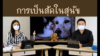 การเป็นสัดในสุนัข | รายการ pet care onair