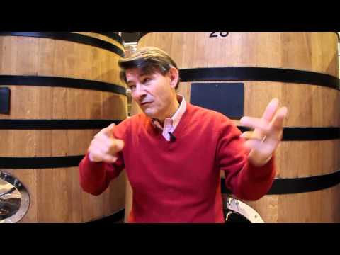 Chardonnay and Burgundy