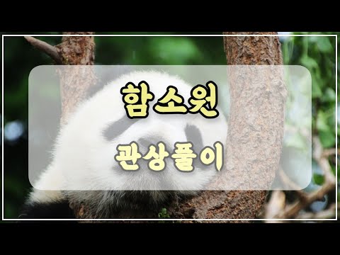 관상과학 함소원 관상 「꼬리 몇개 달린 구미호일까?」