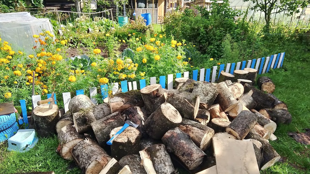 Заготовка дров 2025