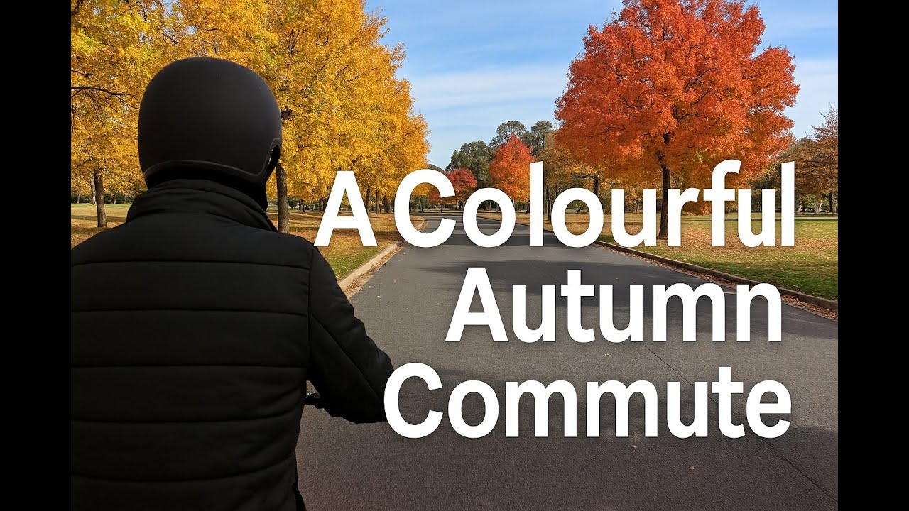 A Colourful Autumn Commute 