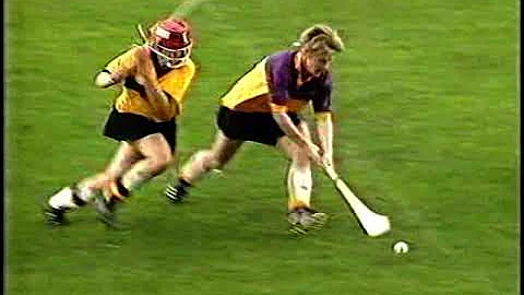1990 Camoige Final Wexford v Kilkenny + Interview ...