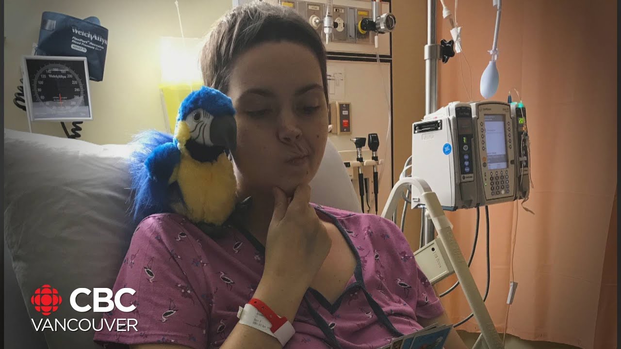 World record cycling attempt cut short by crash