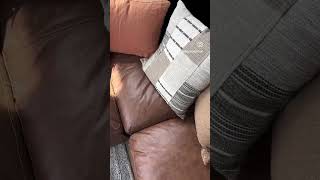 Emilia Sectional Profile