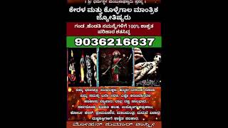Kerala Astrologer Black Magic Specialist Love Problems Astrologer Kerala Astrologer