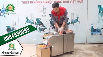 Máy cắt thái rau củ quả có băng tải 3A1,5Kw - Khomay 3A