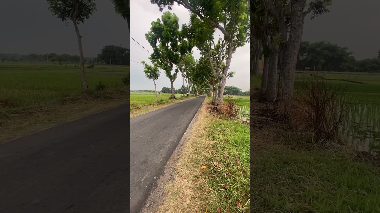 seting Fu 200cc rangka STDmodif👌 