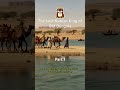 The Lost Nubian Kingdom of Makuria | Old Dongola &amp; King Qashqash. Part 1
