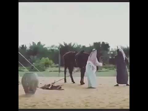 فزعة مطلق لناصر القصبي مع شيلة اخصامنا تنداس