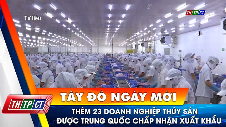 Top cac doanh nghiep xuat khau thuy san 206 năm 2024