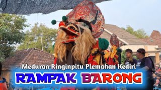 DIHENTIKAN Rampak Barongan ROGO SAMBOYO PUTRO | Meduran Plemahan Kediri