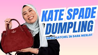 Episode 278: Kate Spade Dumpling Small Satchel Review + Suede Care Tips