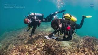 Coral Reefs Threatened By Climate Change, Studied From High Above | Video