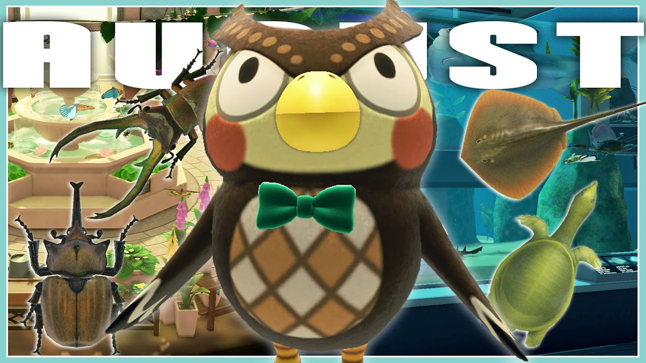 August Fish & Bug Guide | Animal Crossing New Horizons - YouTube