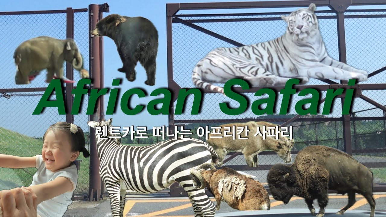 후쿠오카 Ep.2 | 27개월 아기랑 후쿠오카 | 벳푸 아프리칸 사파리 | 일본 렌트카 후기,, 🥹