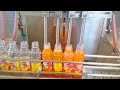 Amazing Liquid Bottle Filling Production line and Machine in India 2023