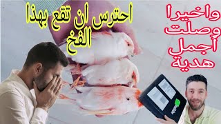 كارثة وقع ضحيتها عشرات المربين حذاي ان تقع بها (أجمل هدية من يوتيوب وصلتني)