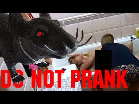 Prankvsprank Fake