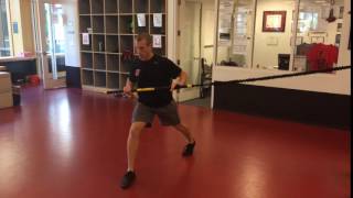 Rip Trainer Side Facing Lunge and Rotational Press