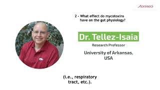 Mycoinfo - What Effect Do Mycotoxins Have On The Gut Physiology?