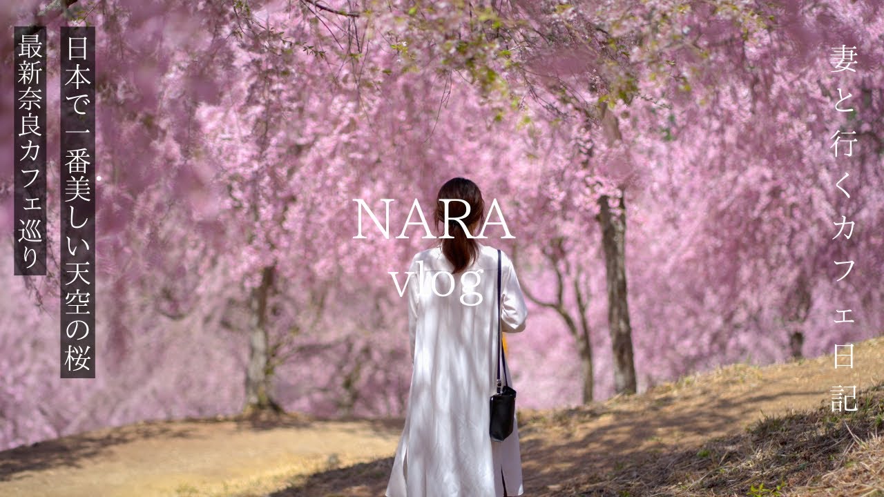 【奈良vlog】一度は見たい絶景の天空の桜/最新奈良カフェ巡り/高見の郷/奈良観光/nara trip