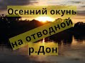 Рыбалка на отводной поводок Воронеж р.Дон Шилово
