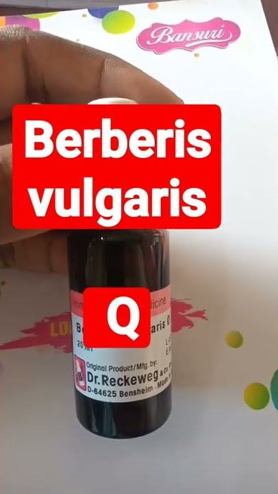 berberis vulgaris Q. gurde ki pathari ki ramban dwa