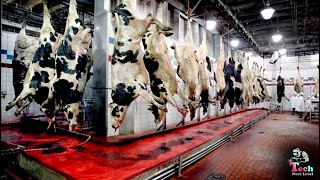 Incredible Modern Giant Beef Processing Technology Factory - Top Tech