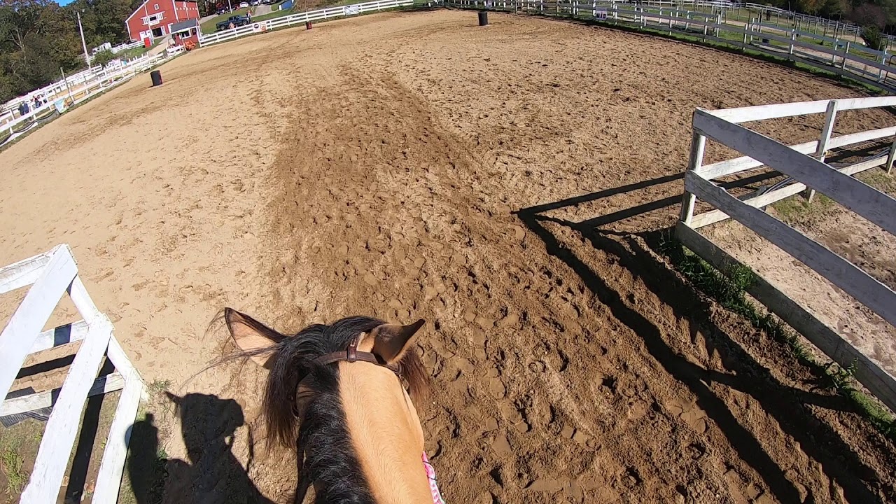 GoPro Barrel Racing: NBHA MA01 Oct. 19, 2019 - YouTube