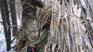 Building A Wickiup Shelter Day 3
