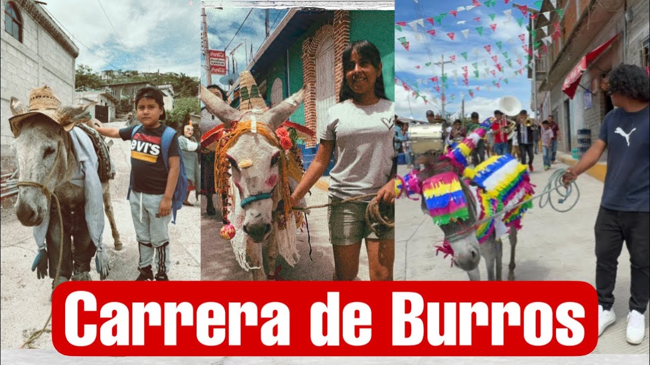 Gran Carrera de Burros, mira nomas LA BILLETIZA QUE SE LLEVÓ EL BURRO CON MEJOR DISFRAZ 🤩💰🤑