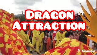 Dragon Attraction Festival (Cap Go Meh) in Kubu Raya#capgomepinyuh#capgomehsingkawang#capgomehpontia