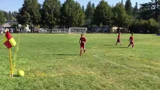 IMG 7607