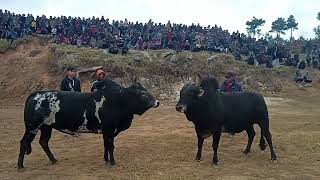 Bria U Suk Thup Mawkdok