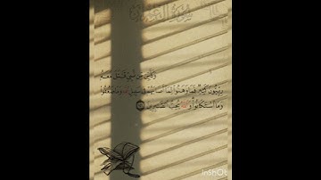 سوره آل عمران عدد آياتها ٢٠٠ آيه (سوره مدنيه ) الآيه ١٤٦
