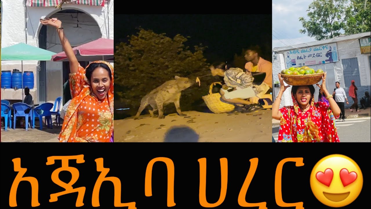 የጉዞ ቅኝት በአሰደናቂዋ ሀረር ከተማ #visit#Ethiopia1#harer #comedianeshetu @ኢትዮጲያዊያንነን#ebstv