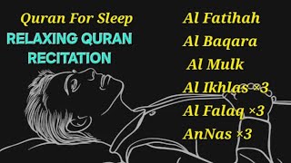 (No Ads)Quran For Deep Sleep.CURE YOURSELF WITH QURAN |Sleep - Study - Ruqyah. Sheikh Ismail ANNURI.
